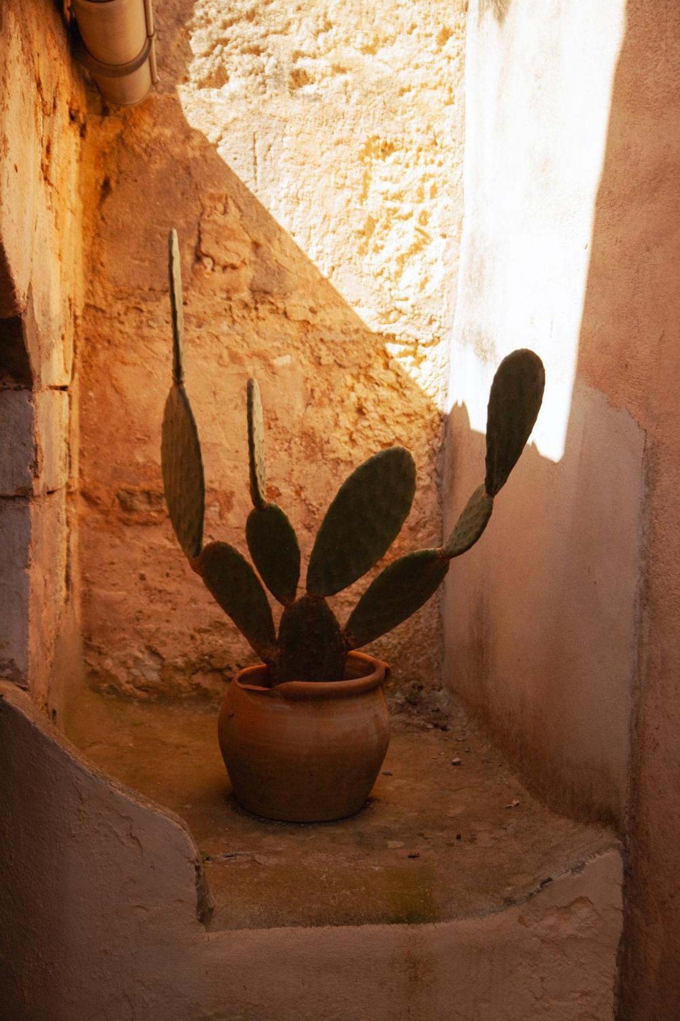 Casa Mona Turismo De Interior Gospodarstwo wiejskie